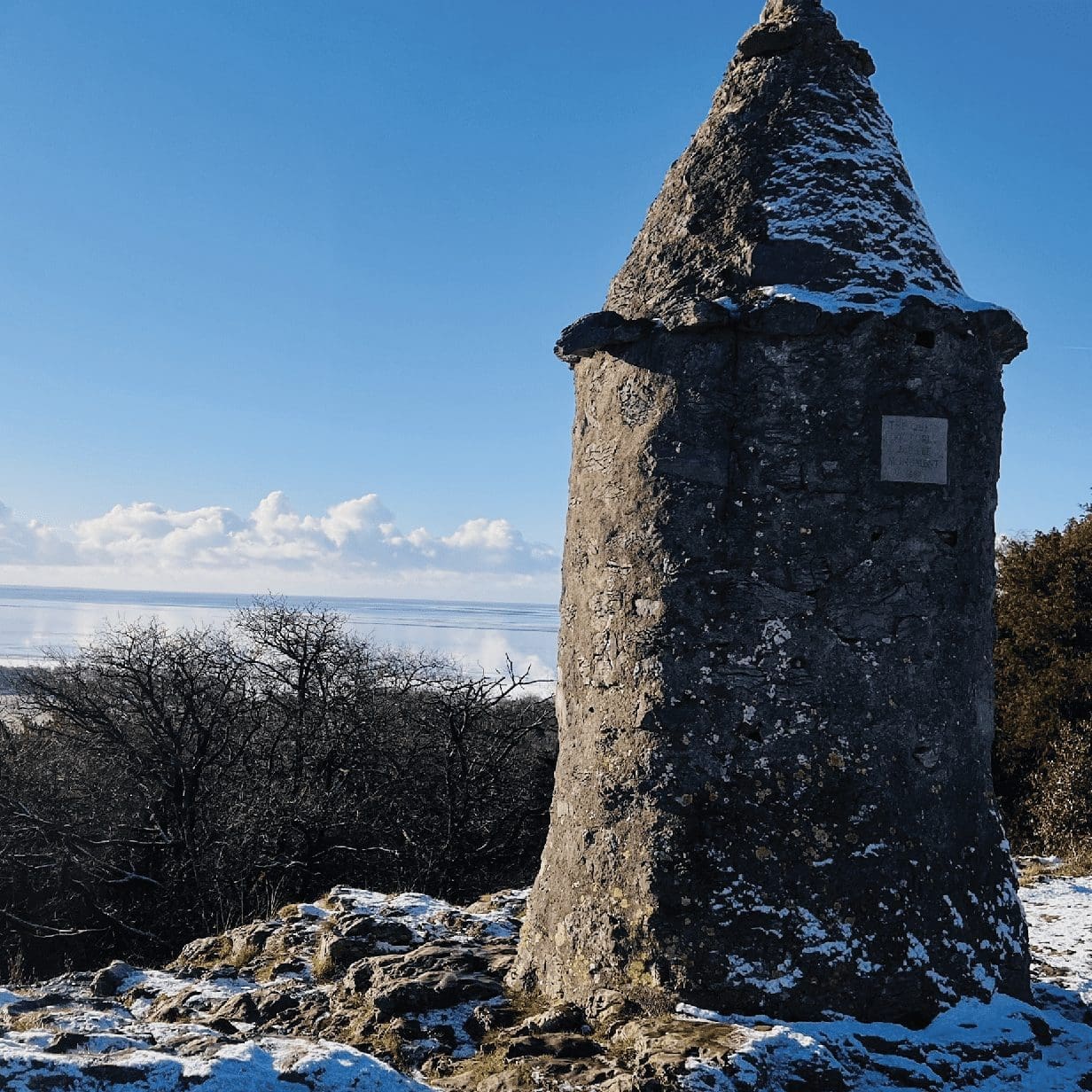 Screenshot 2025-02-03 at 13.19.44